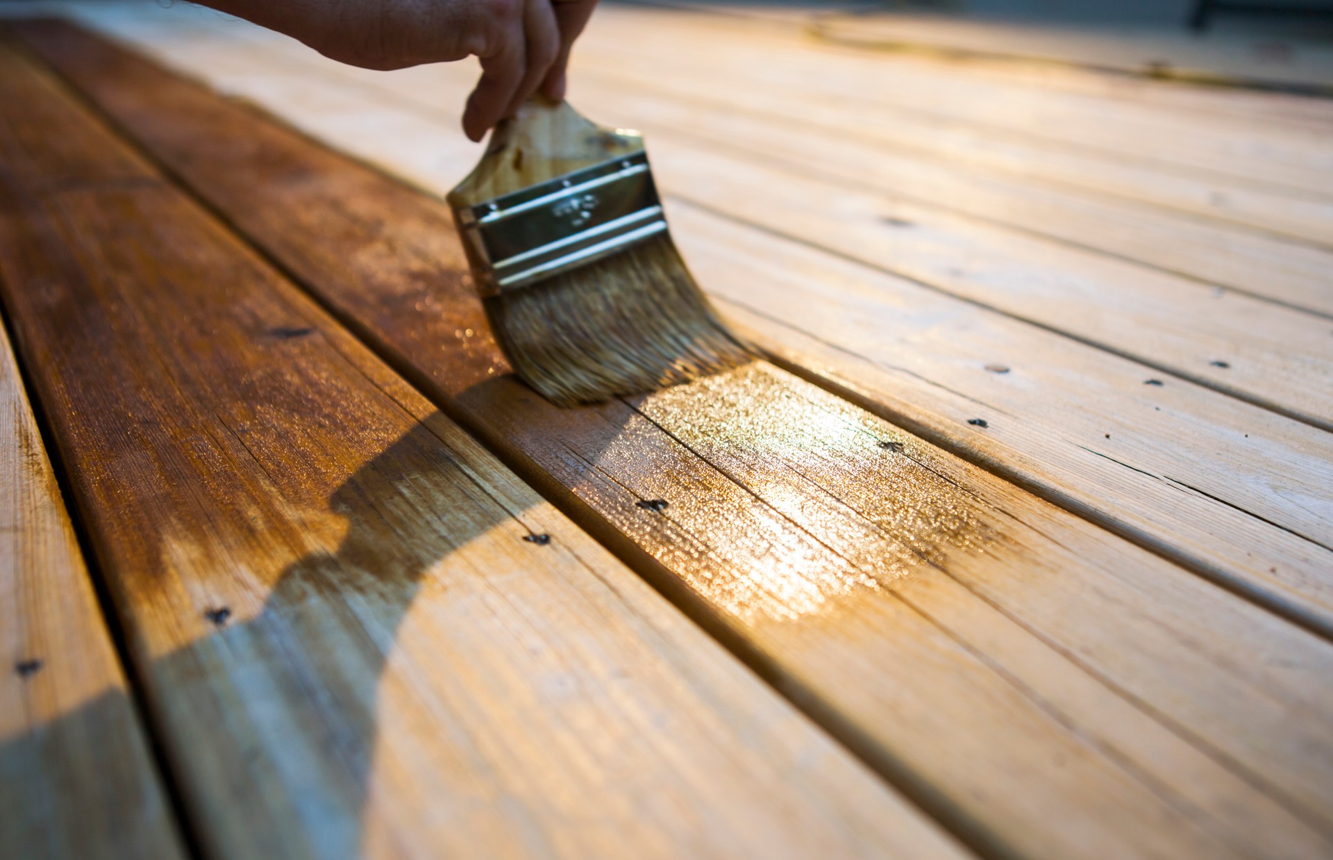 Male Carpenter Applying Varnish To Wooden Deck